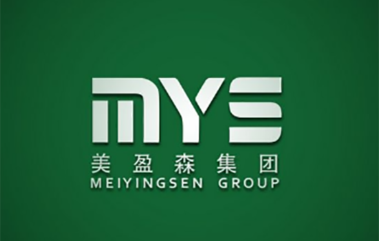 美盈森集团