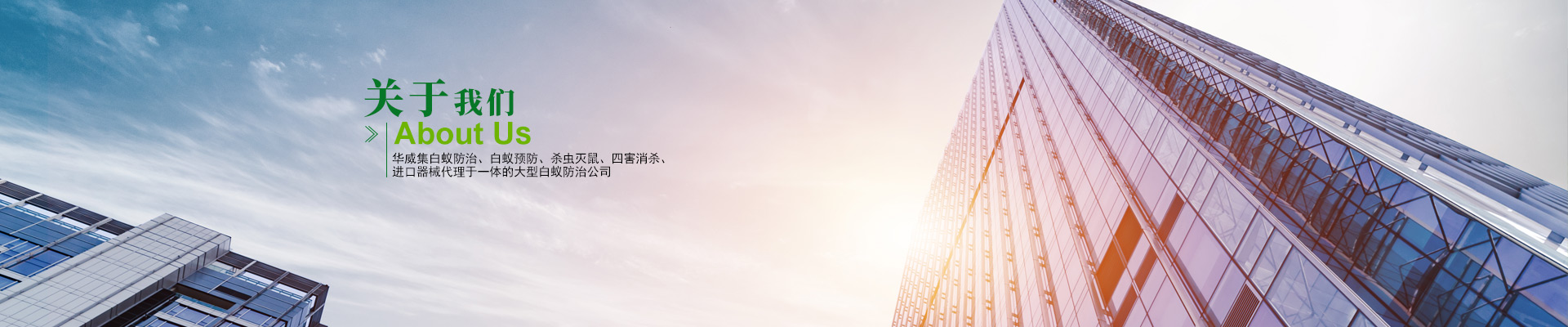 荣誉资质